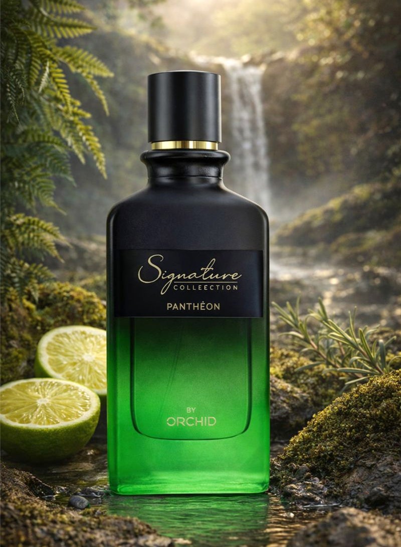 Orchid Signature Pantheon Pour Homme Eau de Parfum 100ml for Men | Orchid | Long Lasting Fresh Woody Citrus Perfume - Image 1